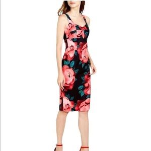 TRINA TURK NWT Floral Sleeveless Sheath Dress Size 2 in Black and Pink Floral